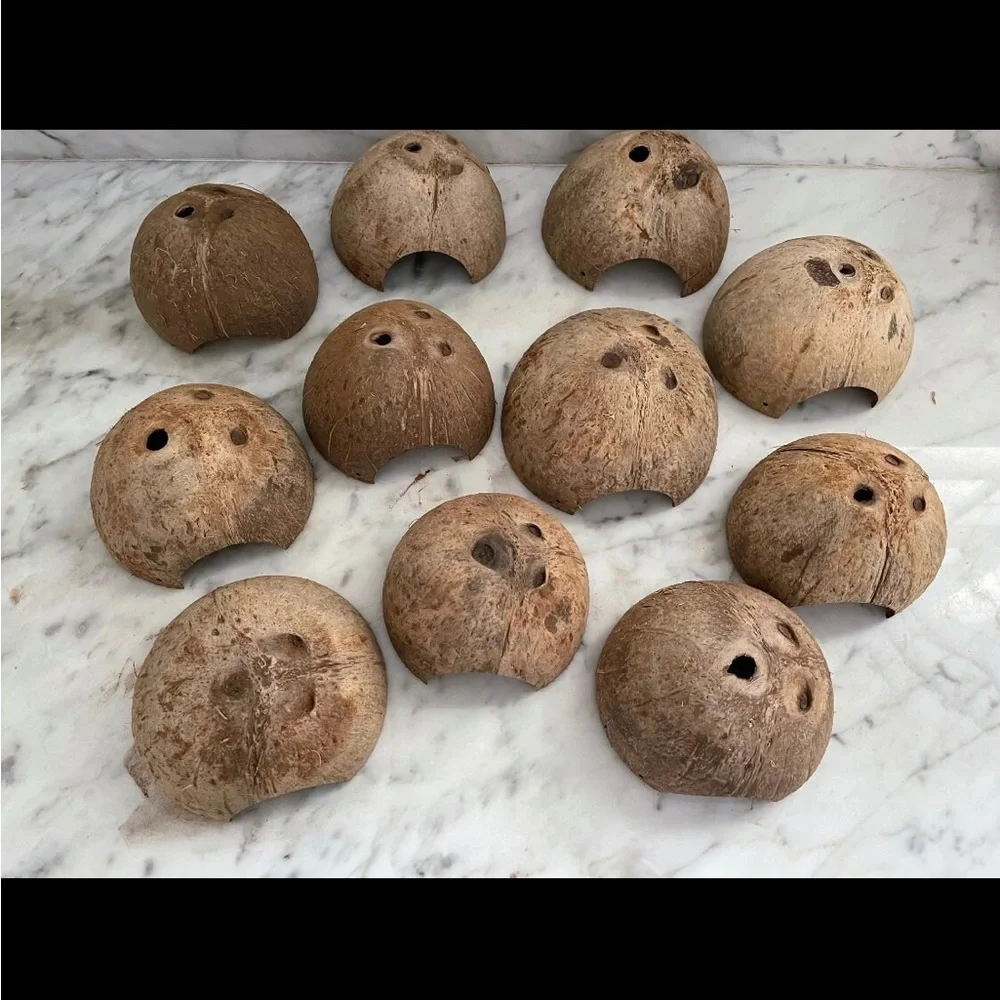 Coconut hut for small pets, reptiles, geckos, lizards, frog, fish, mice, etc